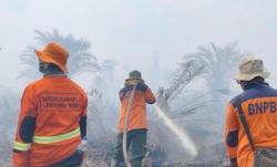 60 Titik Panas Terpantau BMKG di Riau, Terbanyak di Kabupaten Rokan Hulu